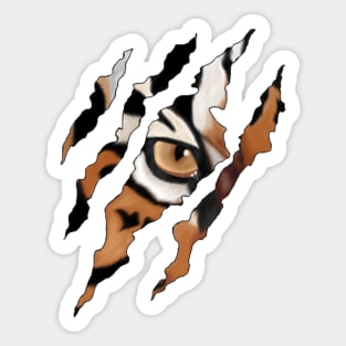 Tiger claw face Sticker